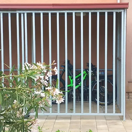 Grgic فندق مبيت وإفطار Novigrad Istria